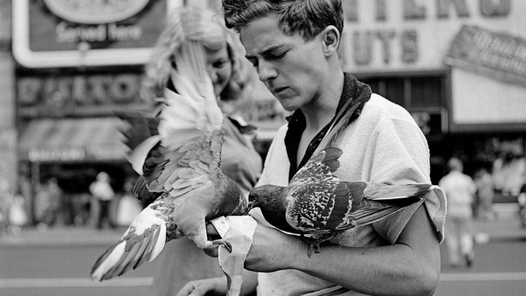 Undated, New York, NY