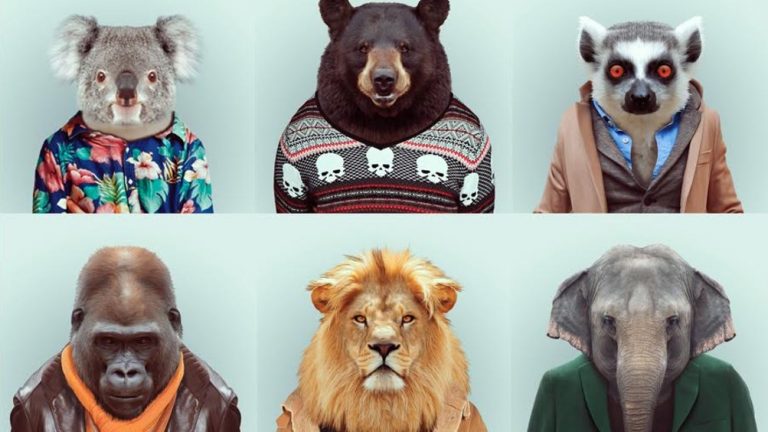 animali vestiti da uomini