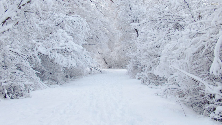 strada innevata neve