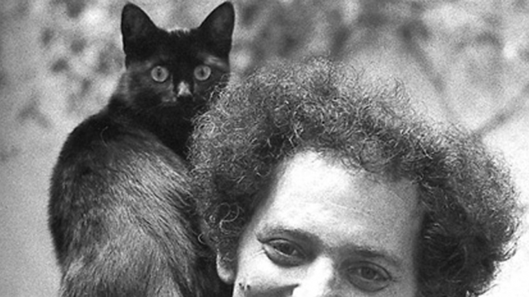 george perec gatto