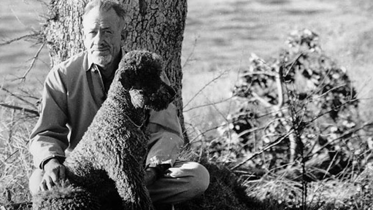 john steibeck cane